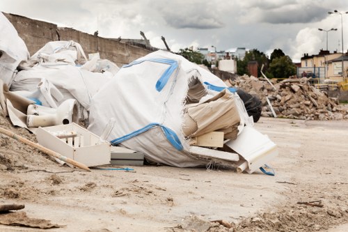 Professional movers assisting with relocation